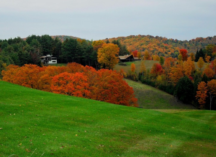 The stunning fall foliage of Vermont.